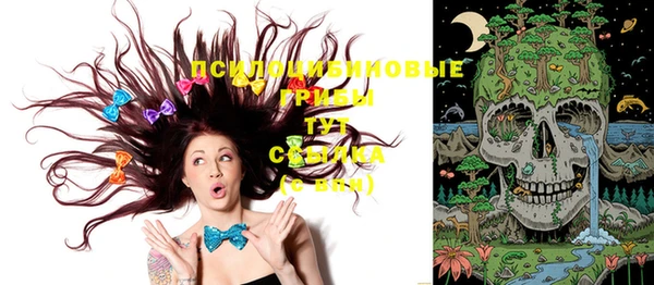 герыч Алексеевка